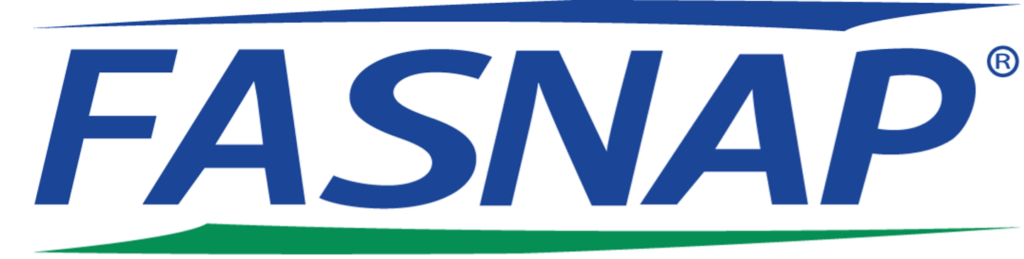 Logo featuring the word "FASNAP" in bold blue letters with green and blue accents, designed for a corporate identity.